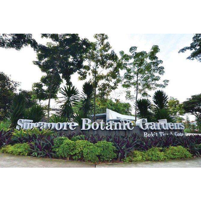 3時間のシンガポール植物園ツアー 1