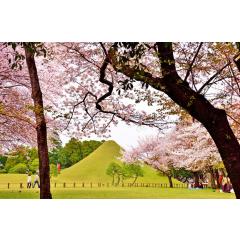 水前寺成趣園 | Suizenji Jojuen 3