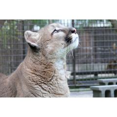 愛媛県立とべ動物園 | Tobe Zoological Park 4