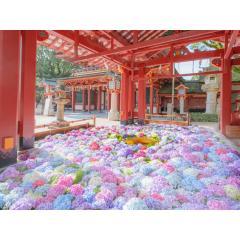 太宰府天満宮|Dazaifu Tenmangu Shrine  3