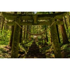 上色見熊野座神社 | Kamishikimi Kumanoimasu Shrine 5