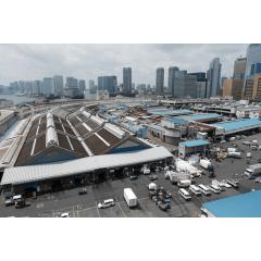 東京都中央卸売市場 豊洲市場 | Metropolitan Central Wholesale Market 3