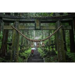 上色見熊野座神社 | Kamishikimi Kumanoimasu Shrine 4