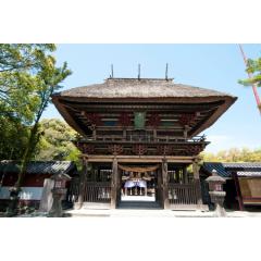 青井阿蘇神社 | Aoi Aso Shrine 4